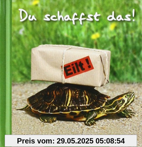 Du schaffst das! Du schaffst das!