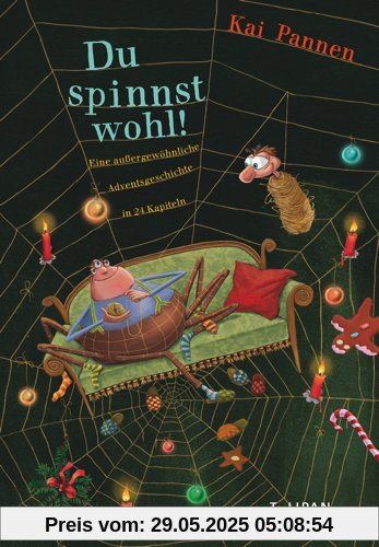 Du spinnst wohl!: Eine außergewöhnliche Adventsgeschichte in 24 Kapiteln (Kinderroman)