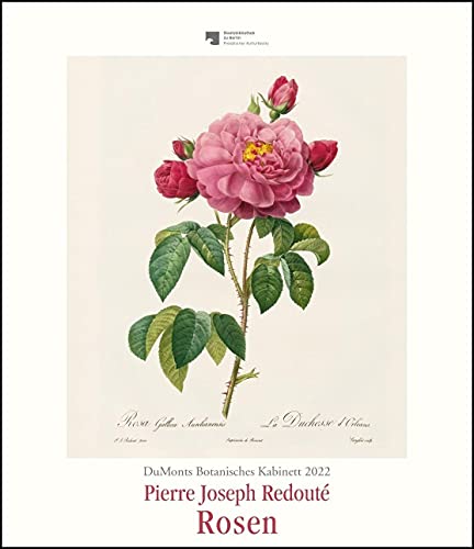 DuMonts Botanisches Kabinett – Rosen von P.J. Redouté – Kunstkalender 2022 – Wandkalender im Hochformat 34,5 x 40 cm