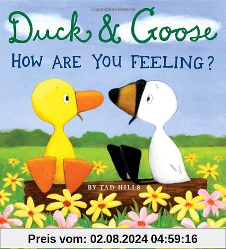 Duck & Goose, How Are You Feeling?