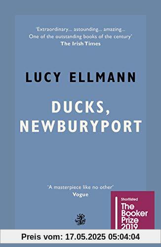 Ducks, Newburyport