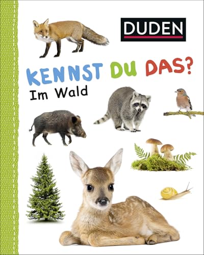 Duden 12+: Kennst du das? Im Wald: ab 12 Monaten