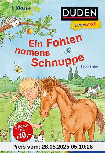 Duden Leseprofi – Ein Fohlen namens Schnuppe, 1. Klasse: Kinderbuch für Erstleser ab 6 Jahren (Lesen lernen 1. Klasse, Band 35)