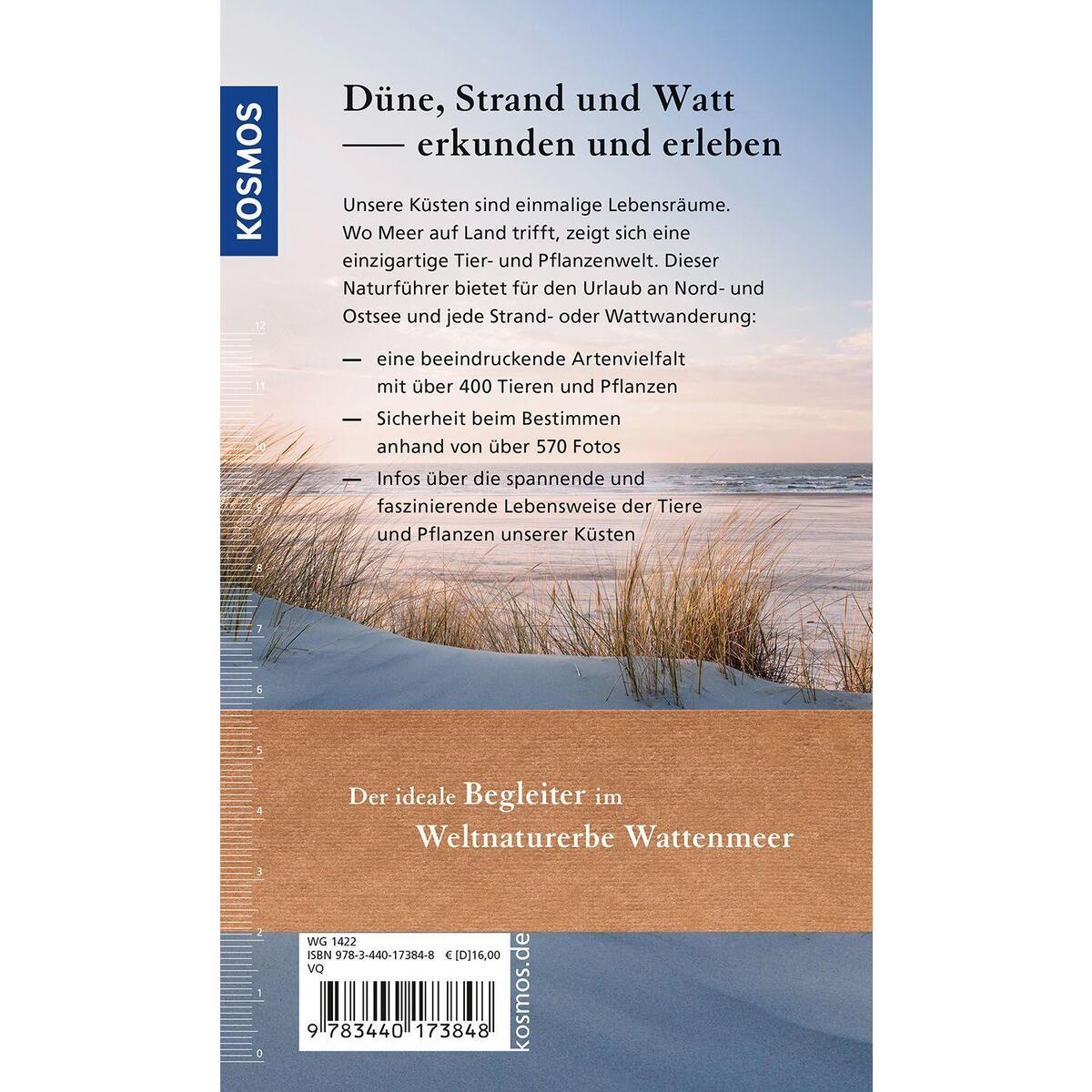 Düne, Strand und Watt Düne, Strand und Watt von Franckh-Kosmos