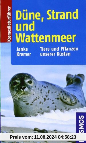 Düne, Strand und Wattenmeer: Tiere und Pflanzen unserer Küsten