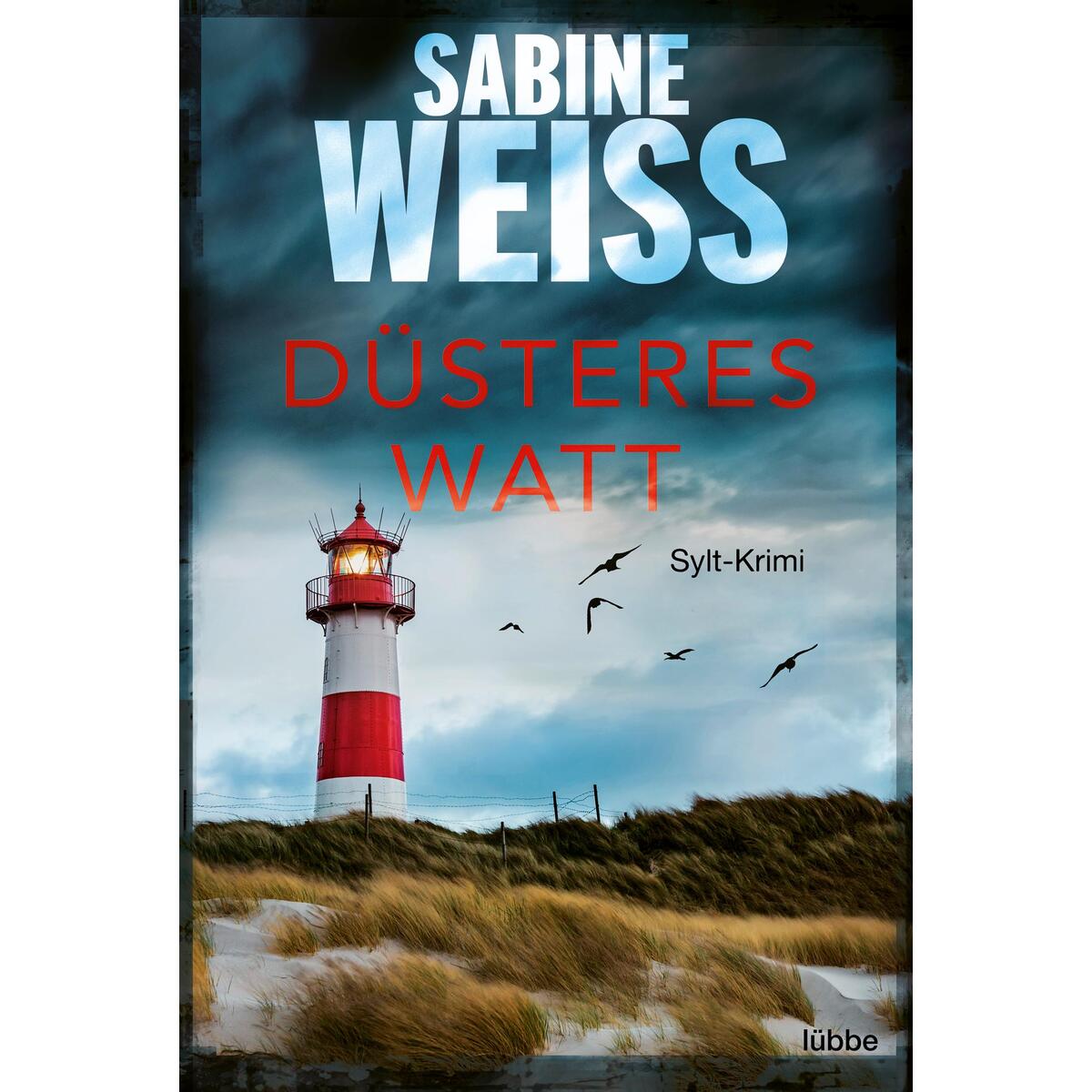Düsteres Watt von Lübbe
