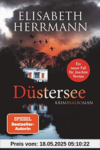 Düstersee: Kriminalroman (Joachim Vernau, Band 7)