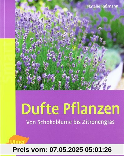 Dufte Pflanzen: Von Schokoblume bis Zitronengras