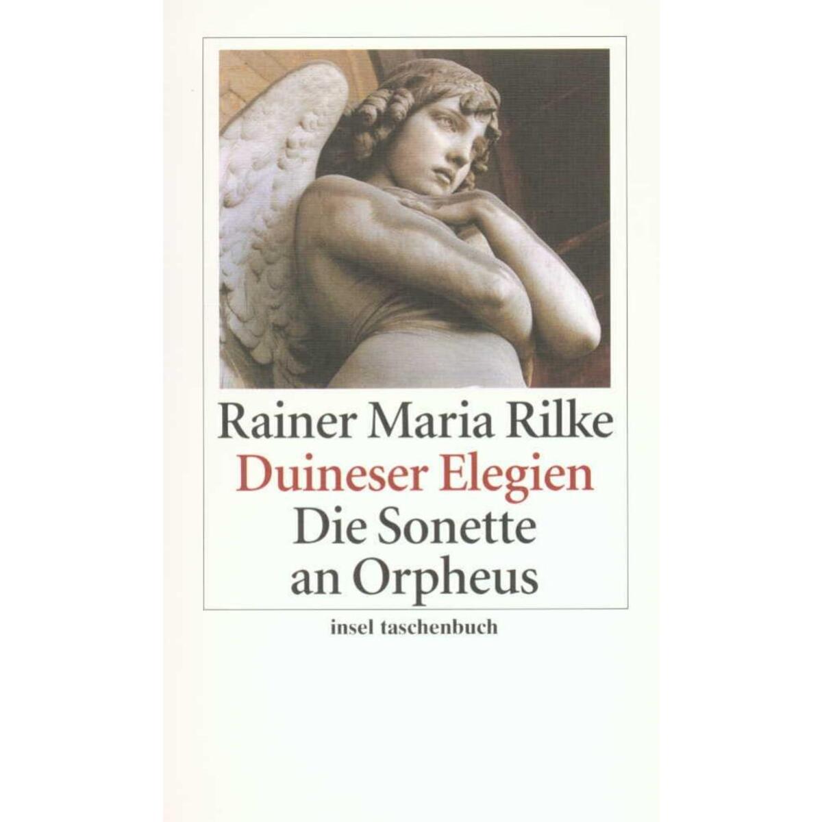 Duineser Elegien / Die Sonette an Orpheus von Insel Verlag GmbH
