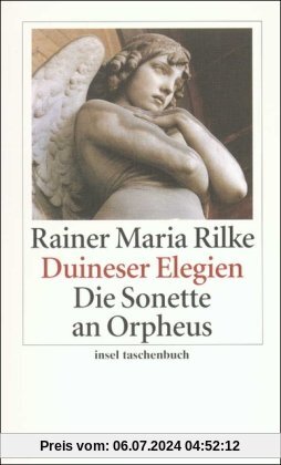 Duineser Elegien. Die Sonette an Orpheus (insel taschenbuch)