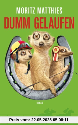 Dumm gelaufen: Roman