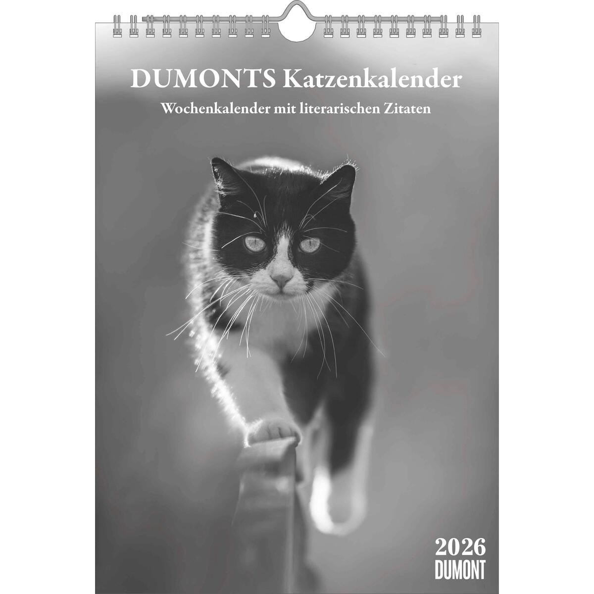 DUMONTS Katzenkalender DUMONTS Katzenkalender von DuMont Kalenderverlag
