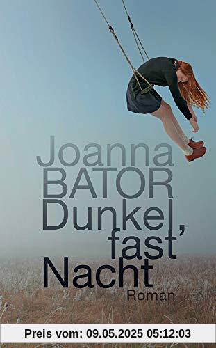 Dunkel, fast Nacht: Roman (suhrkamp taschenbuch)