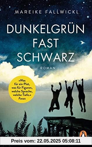 Dunkelgrün fast schwarz: Roman