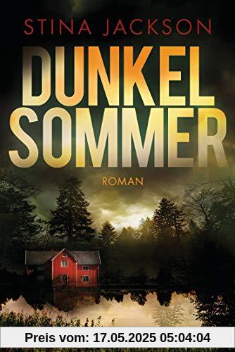 Dunkelsommer: Der Nr.1-Bestseller aus Schweden - Roman