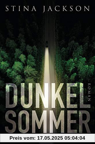 Dunkelsommer: Roman