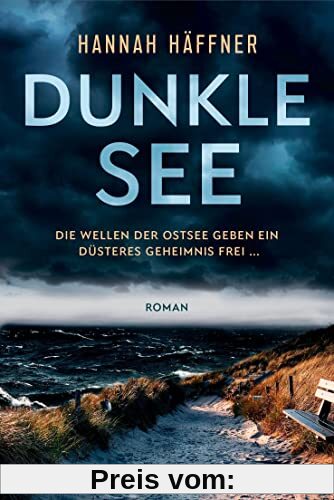 Dunkle See: Roman