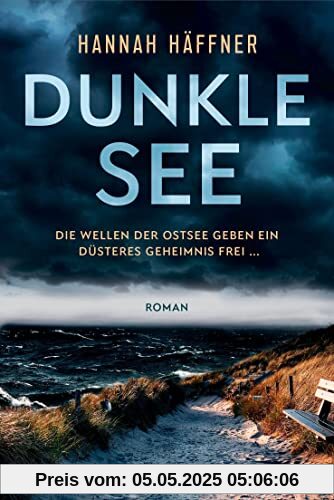 Dunkle See: Roman