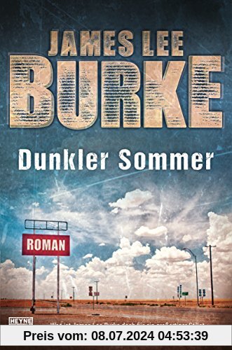 Dunkler Sommer: Roman