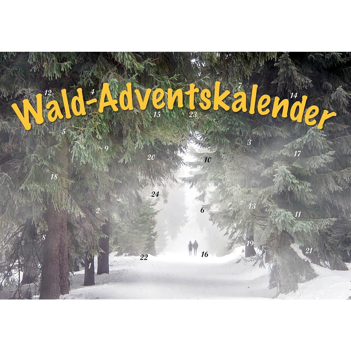 Durch den Wald im Advent Durch den Wald im Advent von Husum Druck