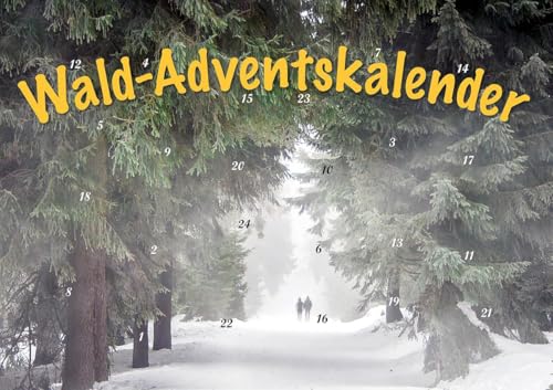 Durch den Wald im Advent: Erlebnisraum Wald: Tiere, Pflanzen und Bäume in Bild und Text Durch den Wald im Advent: Erlebnisraum Wald: Tiere, Pflanzen und Bäume in Bild und Text
