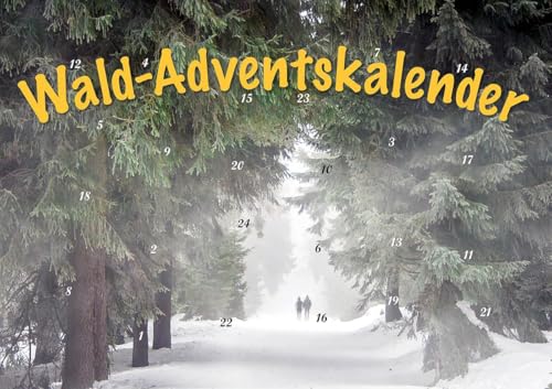 Durch den Wald im Advent: Erlebnisraum Wald: Tiere, Pflanzen und Bäume in Bild und Text