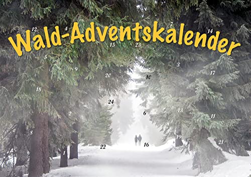 Durch den Wald im Advent: Erlebnisraum Wald: Tiere, Pflanzen und Bäume in Bild und Text von Husum