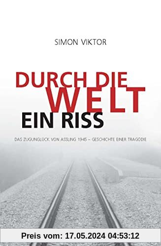 Durch die Welt ein Riss: Das Zugunglück von Aßling 1945 – Geschichte einer Tragödie
