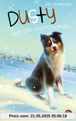 Dusty und das Winterwunder (Die Dusty-Reihe, Band 4)