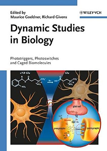 Dynamic Studies in Biology: Phototriggers, Photoswitches and Caged Biomolecules Dynamic Studies in Biology: Phototriggers, Photoswitches and Caged Biomolecules von Wiley-VCH Verlag GmbH & Co. KGaA
