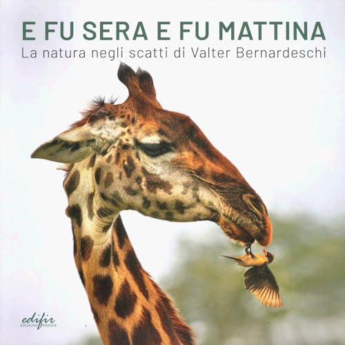 E fu sera e fu mattina. La natura negli scatti di Valter Bernardeschi. Catalogo della mostra (Firenze, 5 settembre 2024-7gennaio 2025). Ediz. italiana e inglese (Arte) von EDIFIR