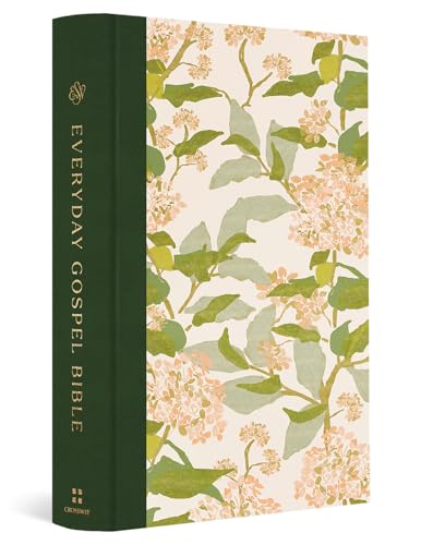 ESV Everyday Gospel Bible, Artist Series: Connecting Scripture to All of Life (Cloth Over Board, Lulie Wallace, Grier) von Crossway Books