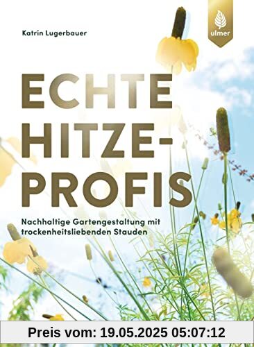 Echte Hitzeprofis: Nachhaltige Gartengestaltung mit trockenheitsliebenden Stauden