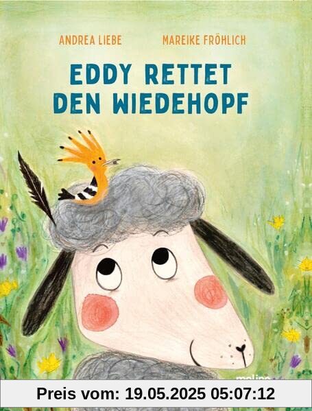 Eddy rettet den Wiedehopf