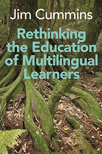 Rethinking the Education of Multilingual Learners: A Critical Analysis of Theoretical Concepts (Linguistic Diversity and Language Rights, 19)