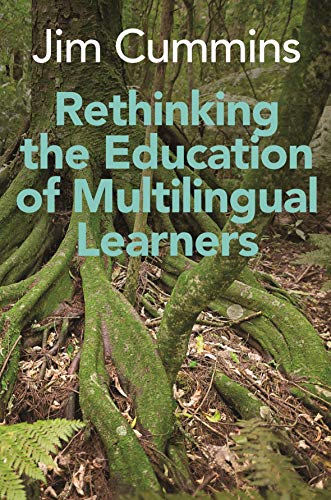 Rethinking the Education of Multilingual Learners: A Critical Analysis of Theoretical Concepts (Linguistic Diversity and Language Rights, 19) von PODIPRINT
