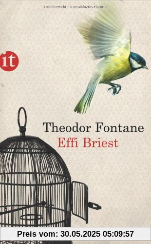 Effi Briest: Roman (insel taschenbuch)