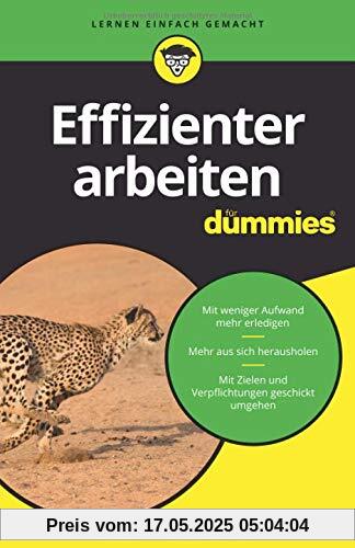 Effizienter arbeiten für Dummies