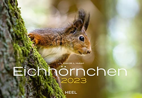 Eichhörnchen 2023 von Heel Verlag