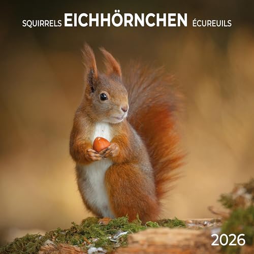 Eichhörnchen 2026: Kalender 2026 (Artwork Edition) von Tushita PaperArt