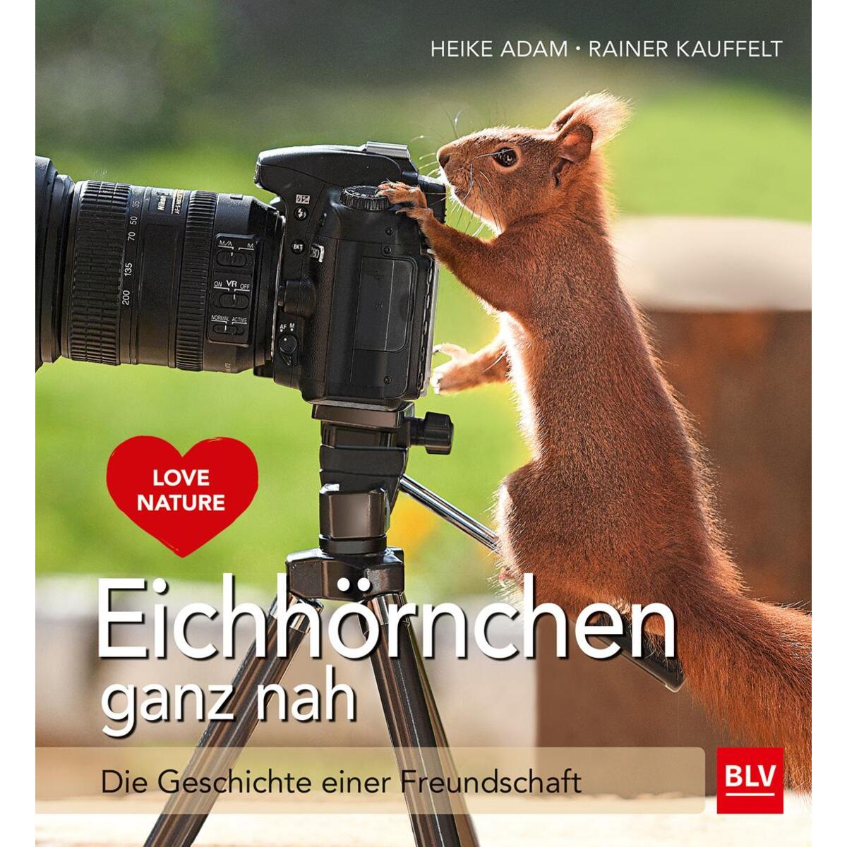 Eichhörnchen ganz nah von Blv