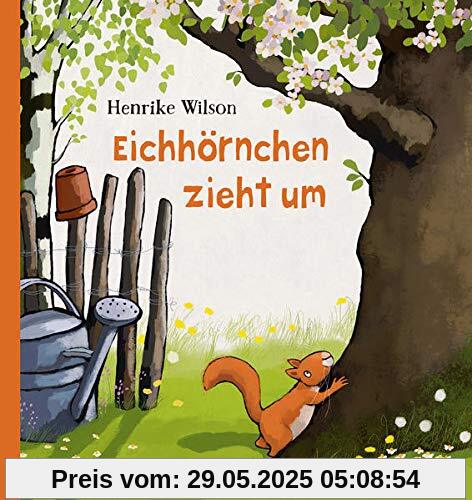 Eichhörnchen zieht um