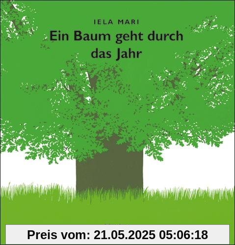 Ein Baum geht durch das Jahr: Bilderbuch