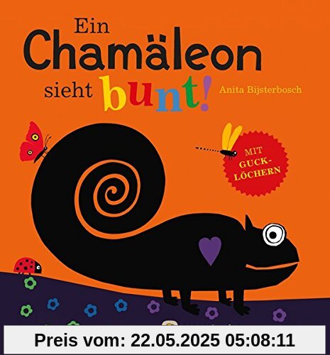 Ein Chamäleon sieht bunt! (Für unsere Kleinsten)
