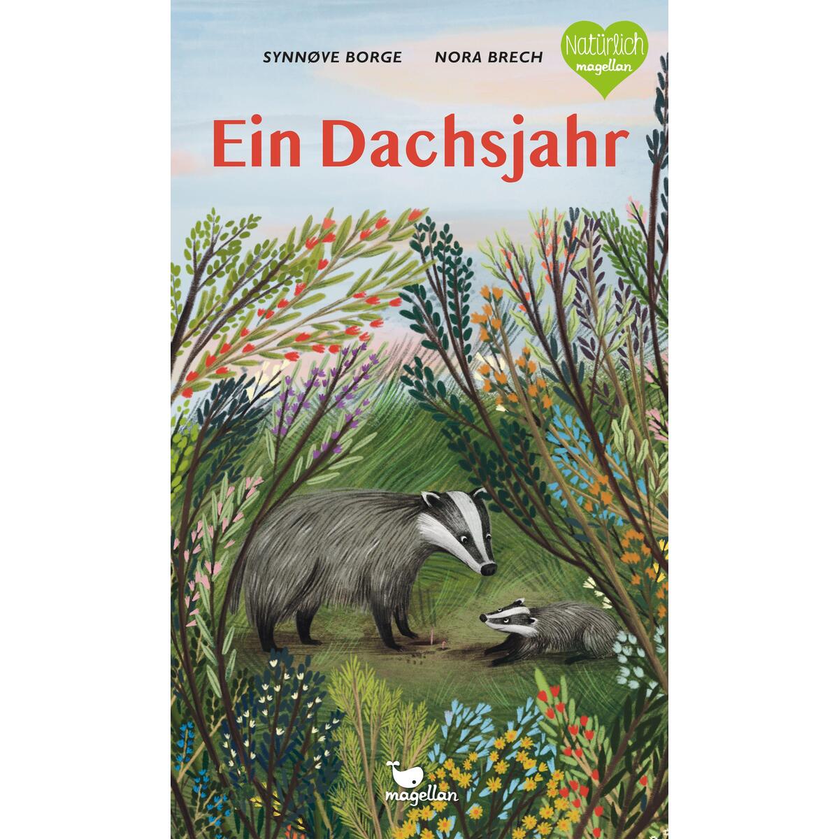 Ein Dachsjahr von Magellan GmbH