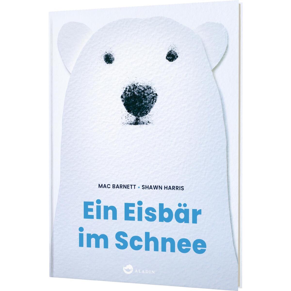 Ein Eisbär im Schnee von Aladin Verlag