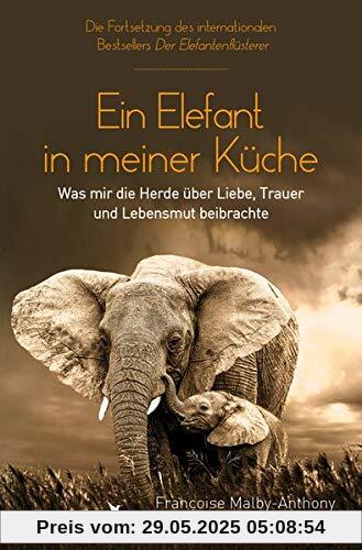 Ein Elefant in meiner Küche: Was mir die Herde über Liebe, Trauer und Lebensmut beibrachte