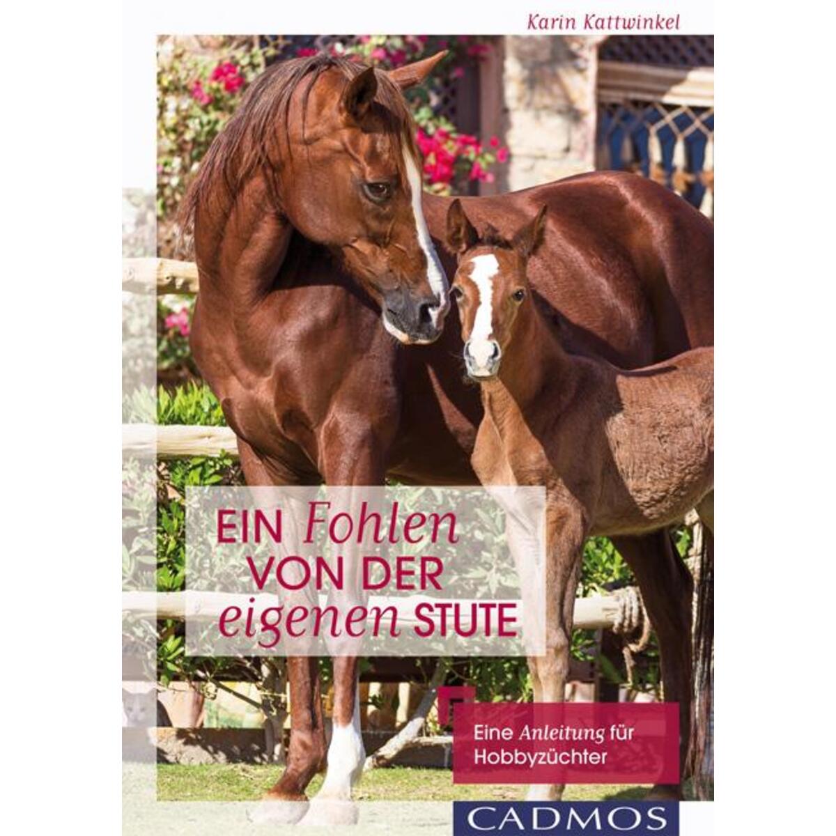 Ein Fohlen von der eigenen Stute Ein Fohlen von der eigenen Stute von Cadmos Verlag GmbH