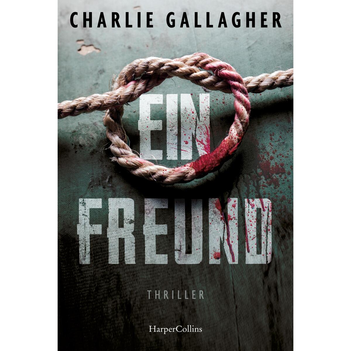 Ein Freund Ein Freund von HarperCollins Taschenbuch