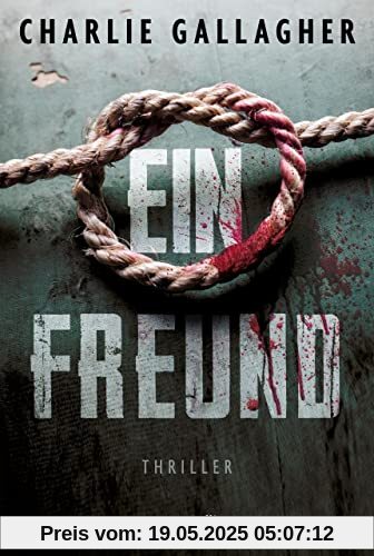 Ein Freund: Thriller